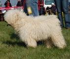Loncsosi-Bátor Erdély